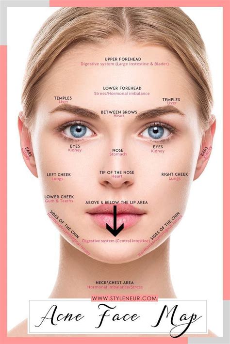 pin by amy romero on makeup face mapping acne chin acne causes acne face chart