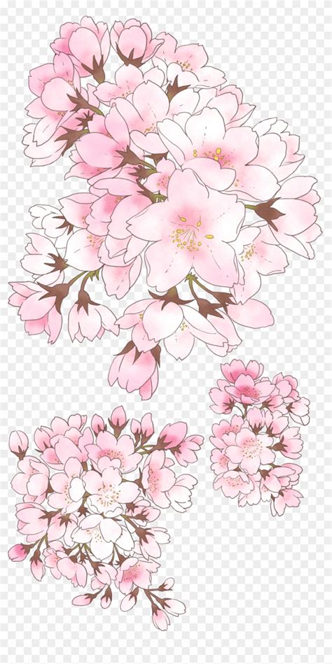 Cherry Blossom Anime Png Stella Dowling