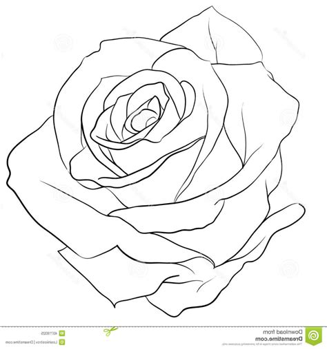 We did not find results for: Line Drawing Of Rose at GetDrawings | Free download