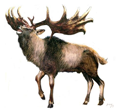 Art Illustration Prehistoric Mammals Megaloceros Deer Extinct