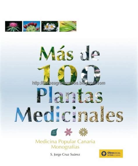 Más De 100 Plantas Medicinales Libros Agronómicos