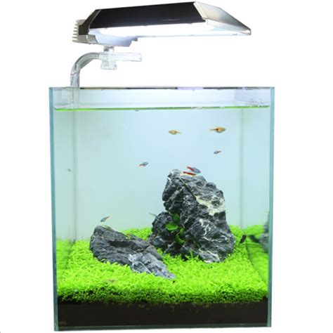 Kelebihan barang yang kami jual adalah barang yang berkualitas, bagus, menarik dan menerima pesanan grosir. Bibit Rumput Air Dekorasi Aquarium Landscape Ornament ...