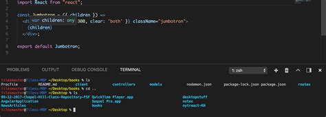 My Terminal In VS Code Has A Tiny Font After Installing Zsh And