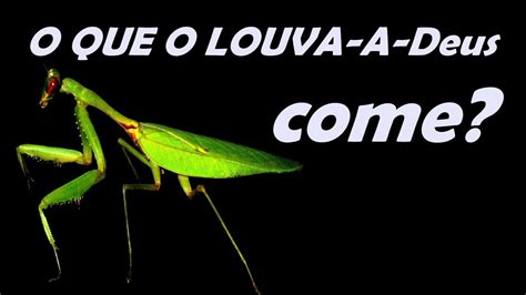 O Que Significa Louva Deus Na Cozinha