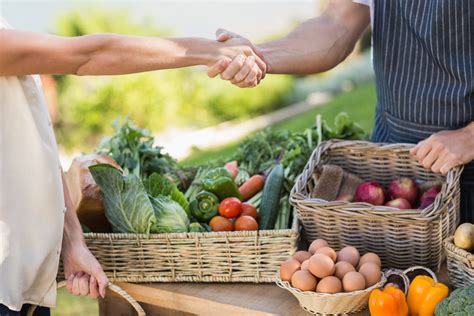 ¿cuáles Son Los Beneficios De La Agricultura Orgánica Agricultura