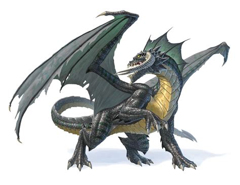 Echoes From The Geekcave Ref Black Dragons Plural
