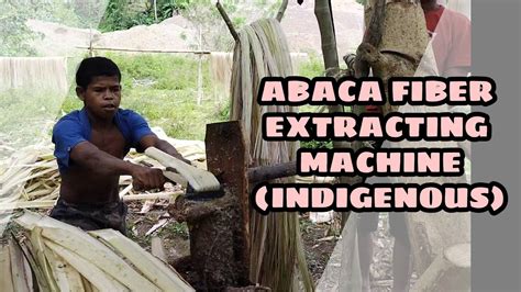 How To Extract Abaca Fiber Machine Made From Log And Branches Youtube