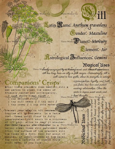 Printable Herb Profiles Book Of Shadows Pages Herb Etsy Book Of