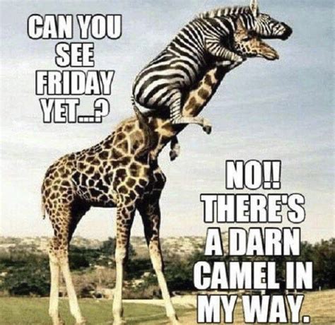 Hilarious going to work meme pictures. These Wednesday 'Humpday' Memes Will Hopefully Make The ...