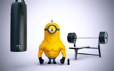 Funny Gym Wallpapers Top Free Funny Gym Backgrounds Wallpaperaccess