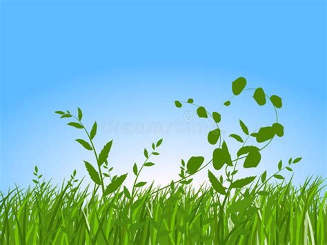 Green Grass And The Blue Sky Stock Illustration Illustration Of