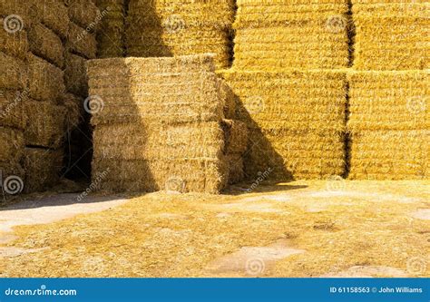 Square Golden Yellow Straw Bales Stock Image Image Of Horizontal