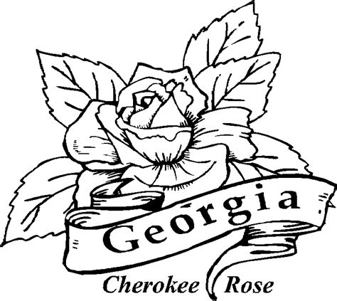 26 Best Ideas For Coloring Uga Coloring Pages University Of Georgia