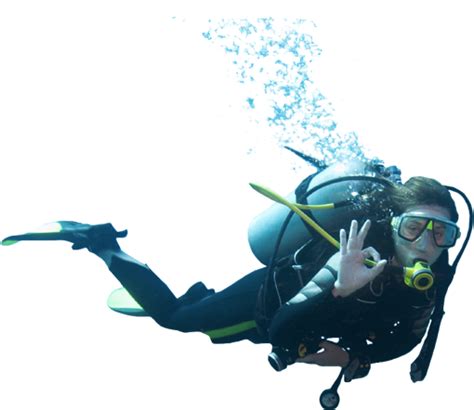 Marine Diver Png Cutout Png All Png All