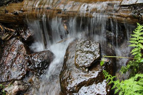 Log Waterfall Free Stock Photo Public Domain Pictures