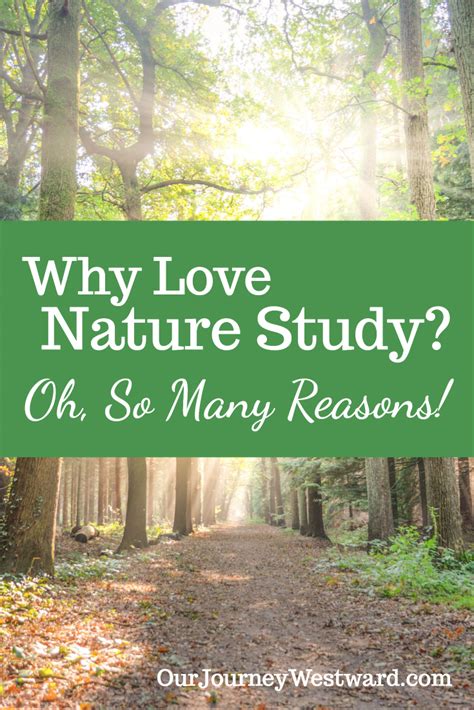 Why Love Nature Study Oh So Many Reasons
