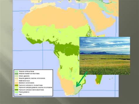 Ppt Africas Biomes Powerpoint Presentation Free Download Id2514965