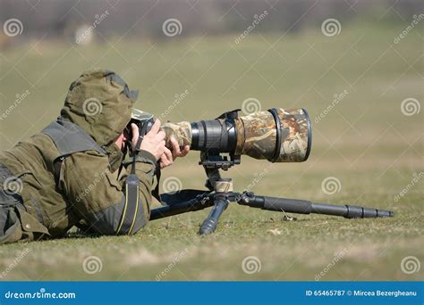 Wildlife Photographer Outdoor Stock Image Image Of Session Lens