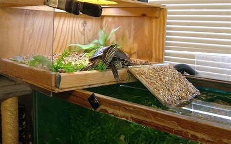 Turtle Topper Above Tank Basking Platform And Dock Spiffy Pet Products