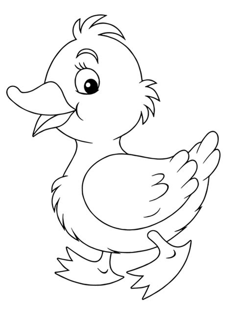 Https://wstravely.com/coloring Page/printable Duck Coloring Pages