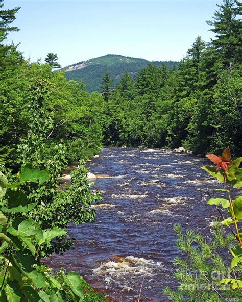 Swift River Mountain View Kancamagus Hwy Nh Photograph By Lizi Beard