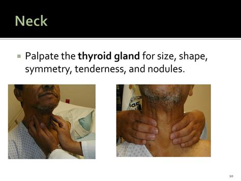 Ppt Physical Assessment Head Neck And Skin Powerpoint Presentation