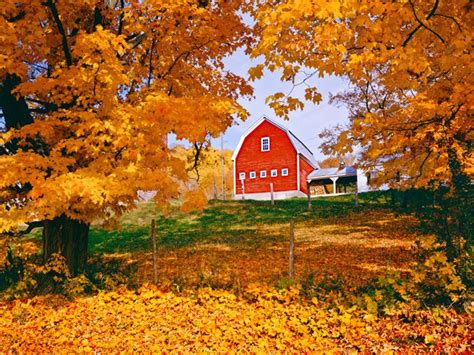 19 Beautiful Barns To Get You In The Fall Spirit Fall Foliage