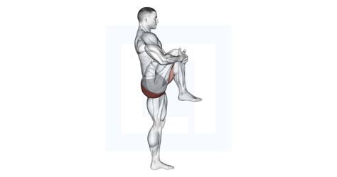 Standing Knee To Chest Stretch Guide Benefits And Form