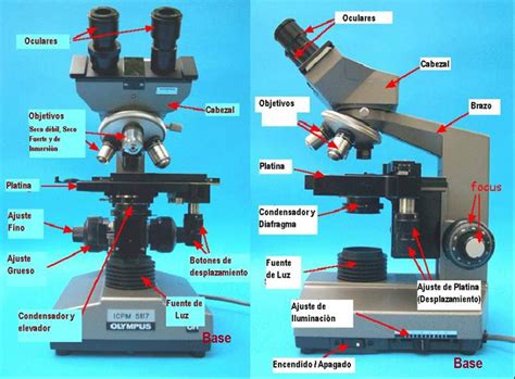 El microscopio y sus partes explicadas y detalladas con imagen, juego y video que explica su funcionamiento.el microscopio y sus partes image … Resultado de imagen para partes del microscopio compuesto ...