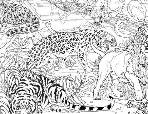 Coloriage Tigre 13711 Animaux Dessin à colorier Coloriages à