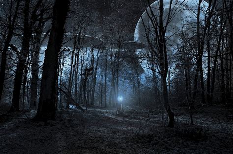 Dark Forest Theory— Why We Should Never Meet Aliens By Victor Bhaura