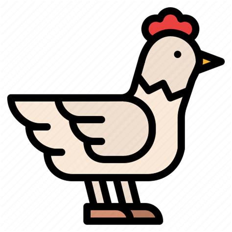 Animal Chicken Farm Hen Icon