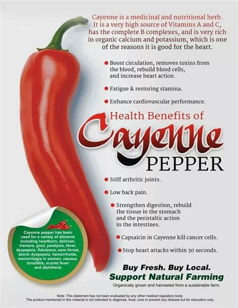 Health Benefits Of Cayenne Pepper Vegetable Benefits Stuffed Peppers