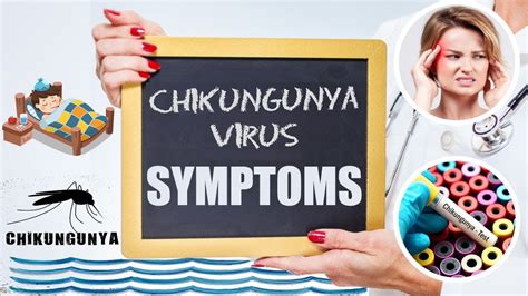 What Is Chikungunya Symptoms Of Chikungunya Virus Chikungunya