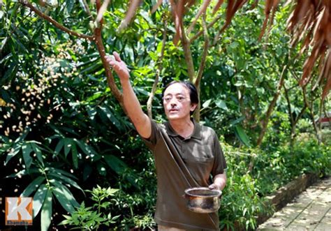 Có lẽ ít người biết, người vợ thứ ba kém giang còi 25 tuổi chính là học trò của tôi, vẫn gọi tôi bằng… bố. Quang Tèo buồn bã khi hay tin Giang Còi mắc bạo bệnh ...