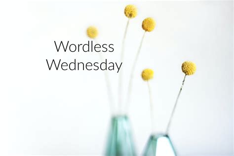 Wordless Wednesdaylilly — Survivors Blog Here