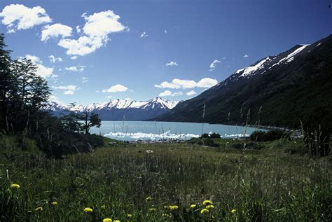 Patagonia National Parks Chile Make A Reality One Of The Last Great