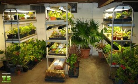 In this tutorial sgs aquaponics will show you how to set up your new herb garden aquaponics system.founded by innovator mason silvia as a result of his. How to set up an indoors garden | Indoor vegetable ...