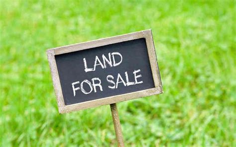 Legal And Genuine Steps Of Buying Land And Plots In Kenya