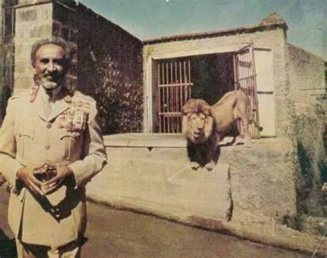 Him Haile Selassie I And His Lions Haile Selassie History Of