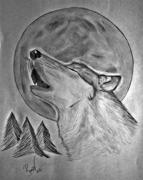 Imagenes De Lobos Para Dibujar Nuestra Inspiración