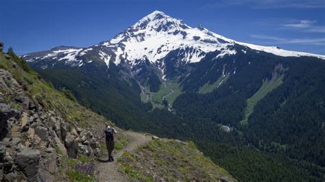 Mount Hood Hikes 5 Spots With Stunning Views Of Oregons