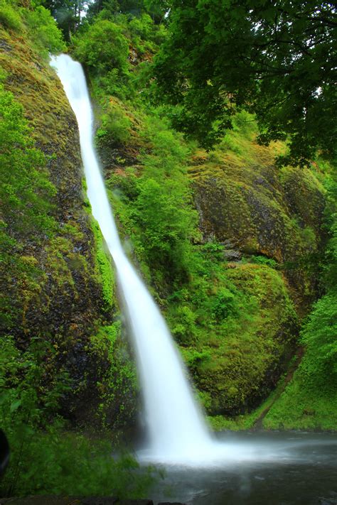 Oregon Waterfall Oregon Waterfalls Waterfall Outdoor