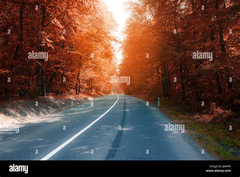 Asphalt Road Through Autumn Forest Stock Photo Alamy