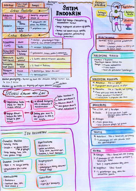 TINI NOTA BIOLOGI (BAB 9) KSSM TINGKATAN 4 TERKINI