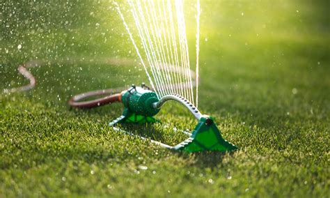 This way, the water has a chance to soak in before the sun dries it out. How to Restore an Overwatered Lawn? | Best of Machinery