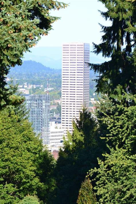Us Bancorp Building Framed By Trees In Portland Oregon Stock Image