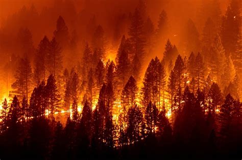 Ca Wildfire Updates Latest On Dixie Trinity County Fires Sacramento Bee