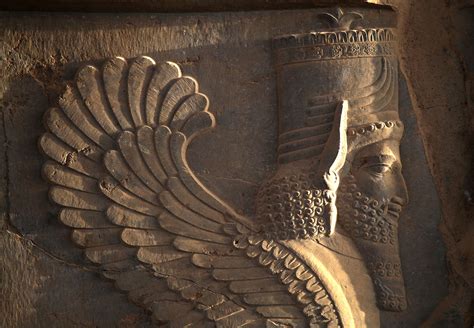 Lamassu Northern Stairs Tripylon Palace Persepolis Photo Richard