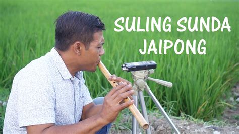 Suling Sunda Di Sawah Koplo Jaipong Seruling Sunda Paling Merdu Youtube